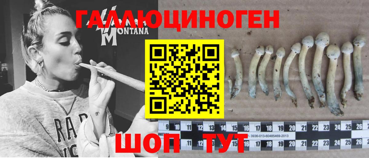 Псков  Псилоцибиновые грибы мухоморы  Вход с VPN  Галлюциногенные грибы ЛСД 